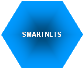 SMART NETworked Systems